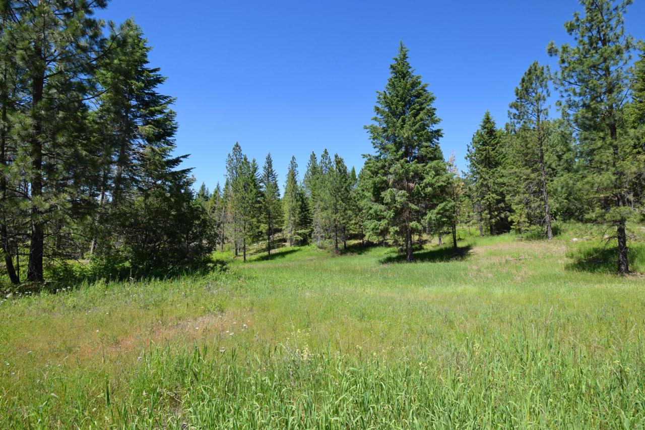 Tract 2 Camp Nine Rd - Photo 1