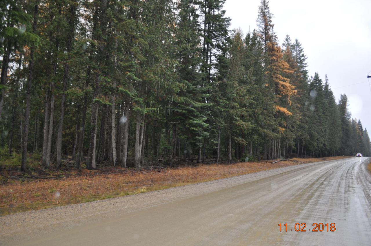 nna East River Road - Photo 1