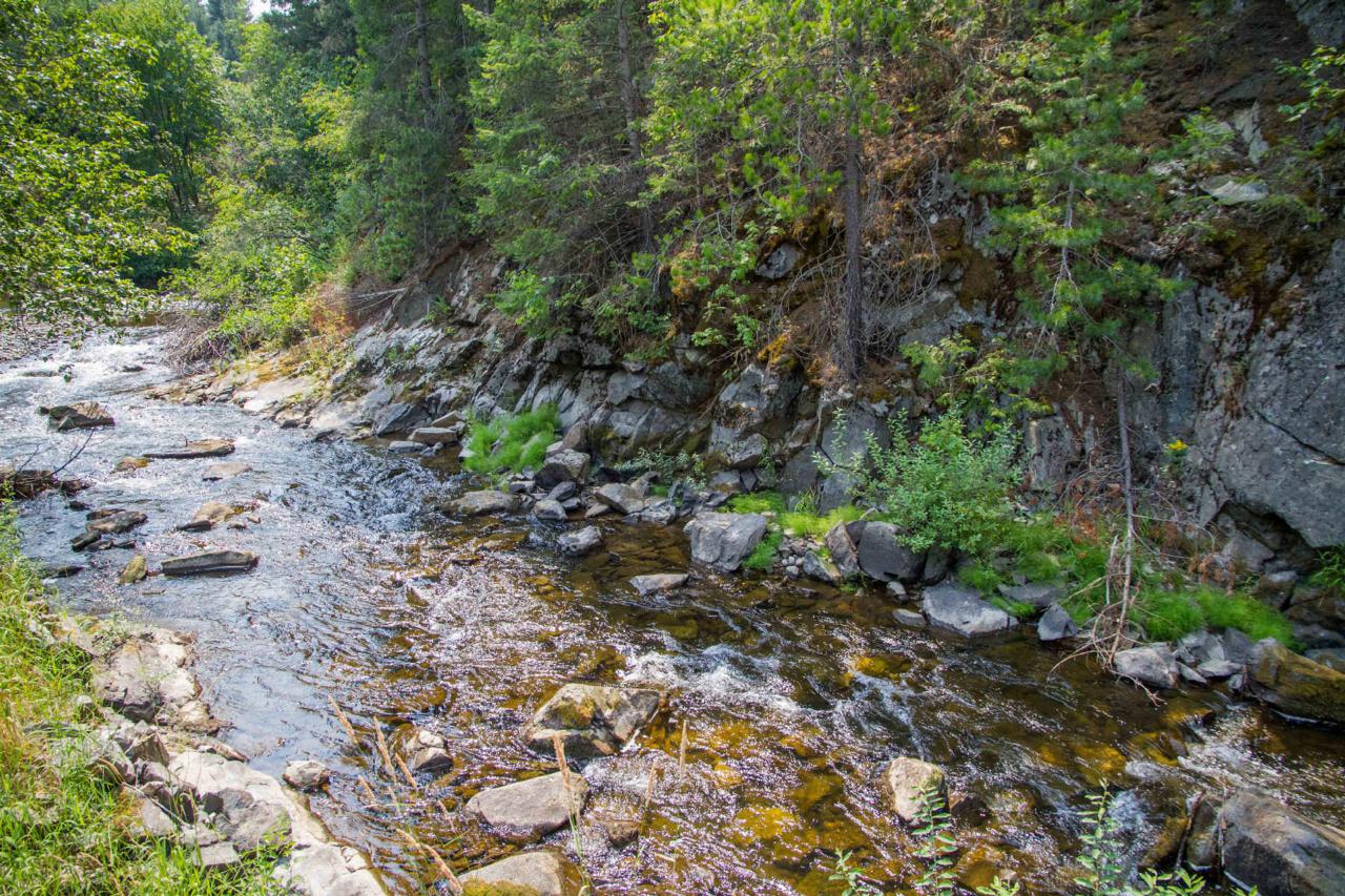 452 Ruby Creek Road - Photo 1
