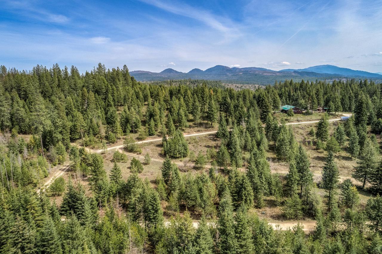373 Lazy Spade Ln - Photo 1