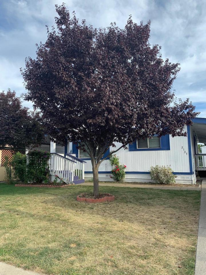 2137 Marlborough Ave - Photo 1