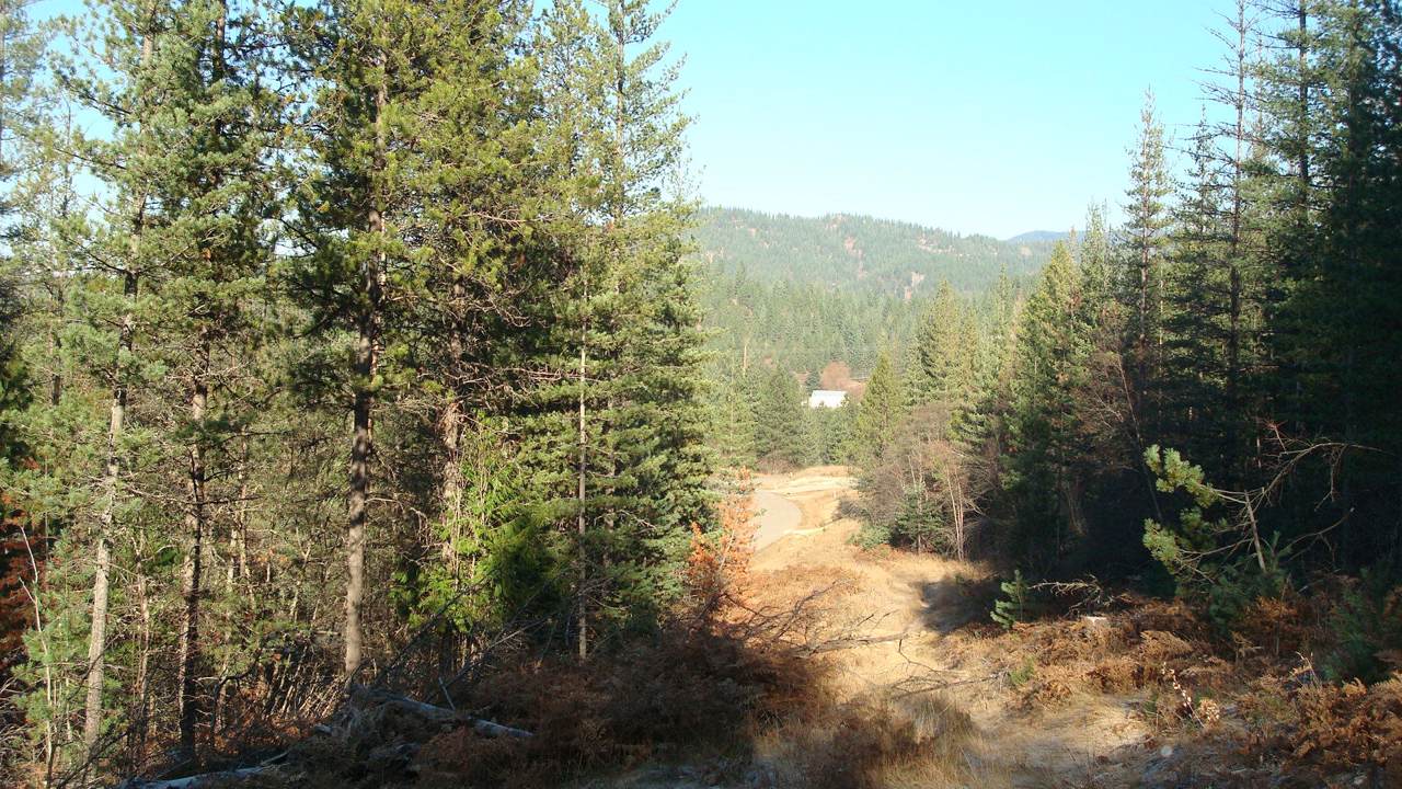 125 & 127 Trail Blazer - Photo 1