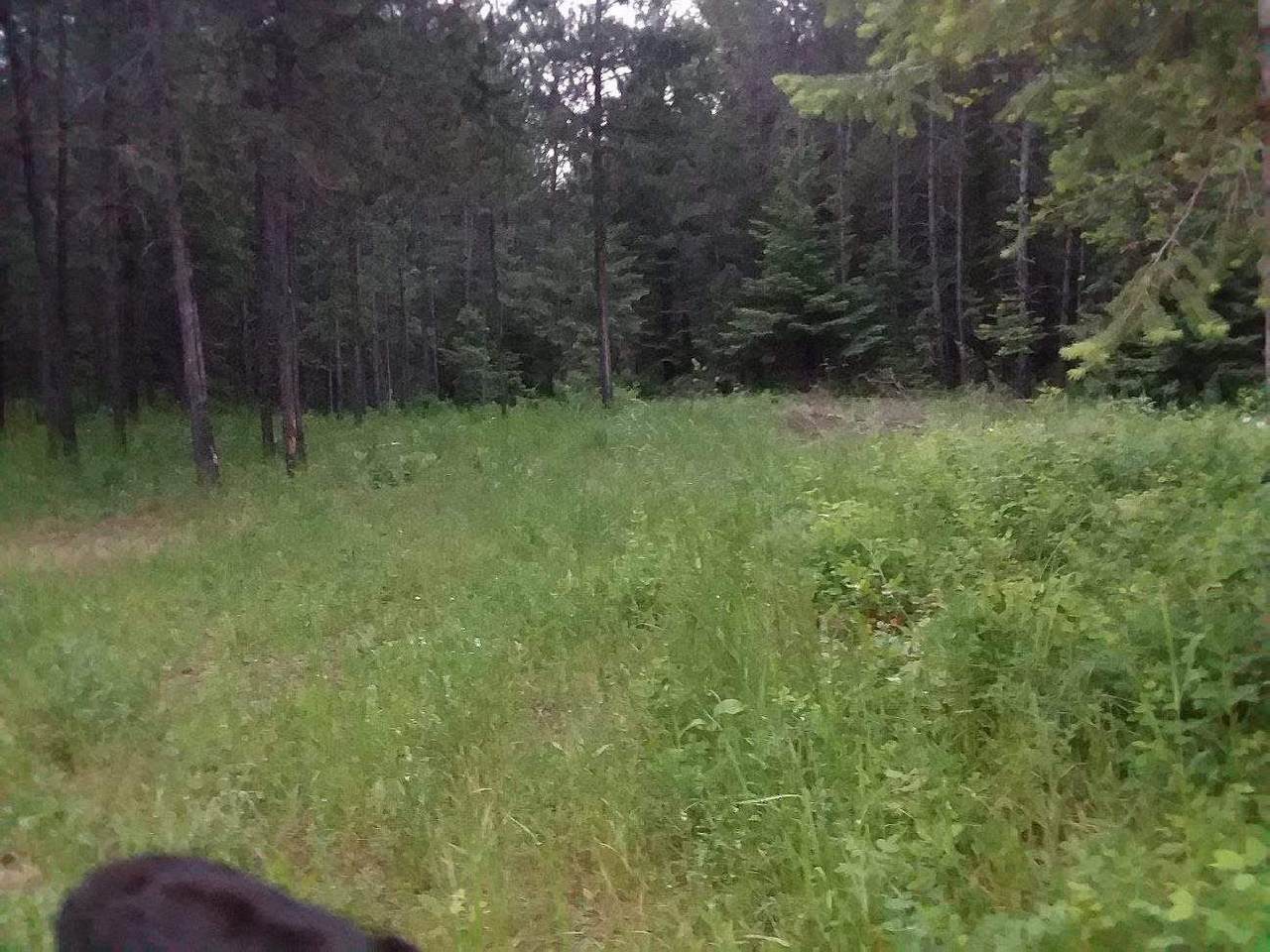 18704 Well Rd - Photo 1