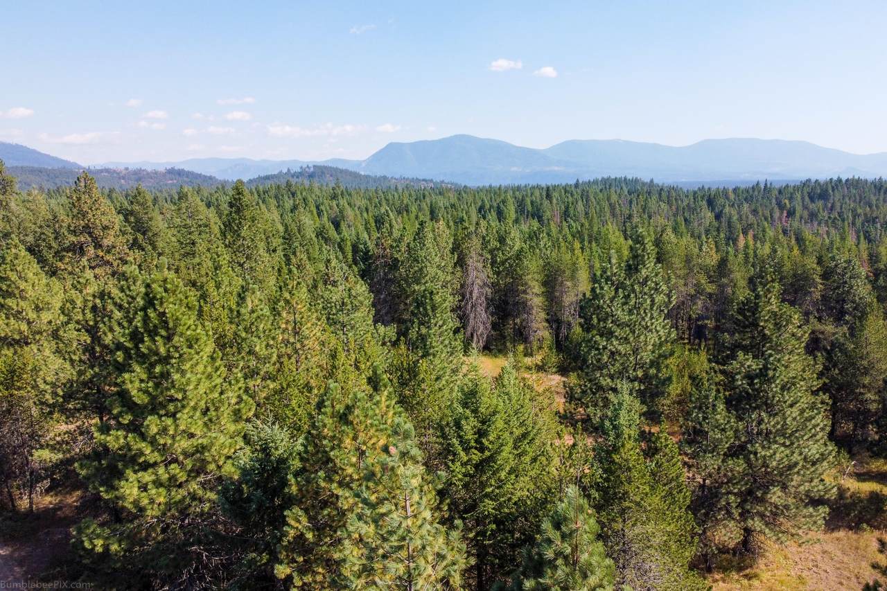 1100 Trails End Rd - Photo 1