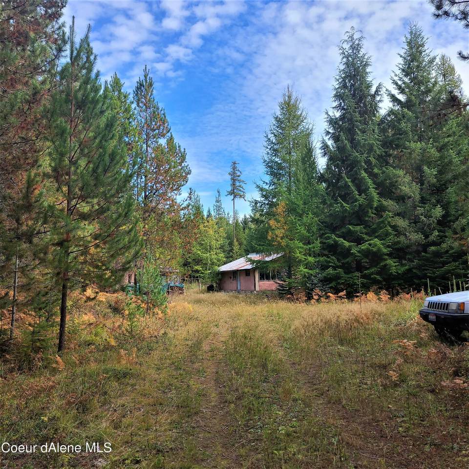 1006 Sitting Bull Rd - Photo 1