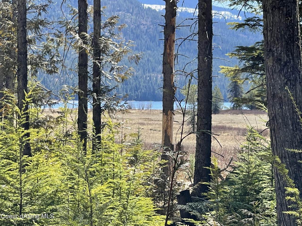 72 Acres Sandpiper Shores - Photo 1