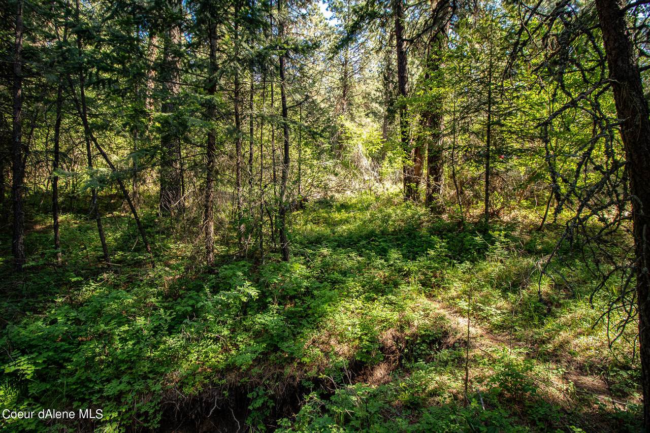 NKA Allen Rd Lot 16 - Photo 1