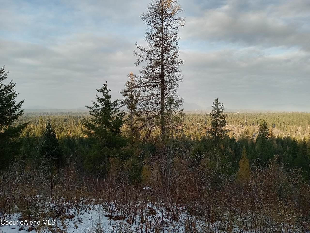Lot 1 Sheep Springs - Photo 1