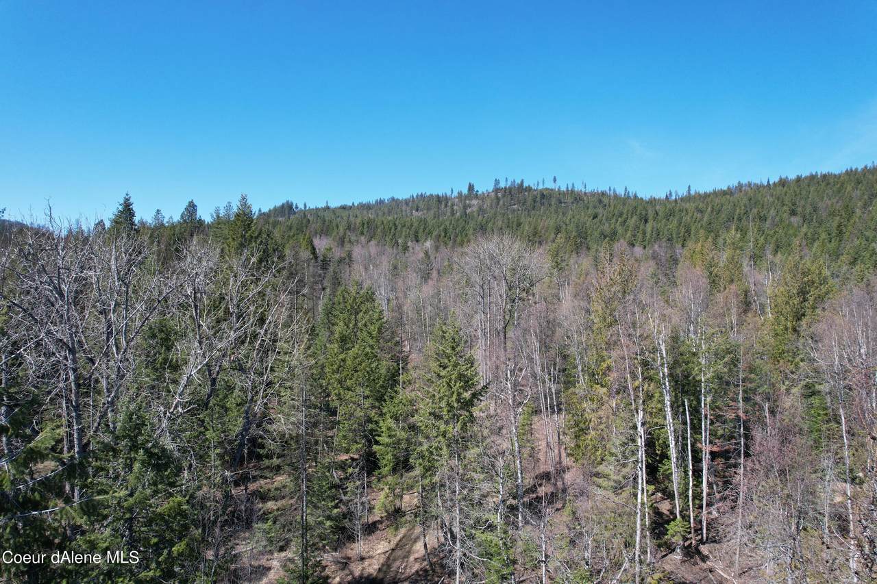 NNA Huff Road - Photo 1