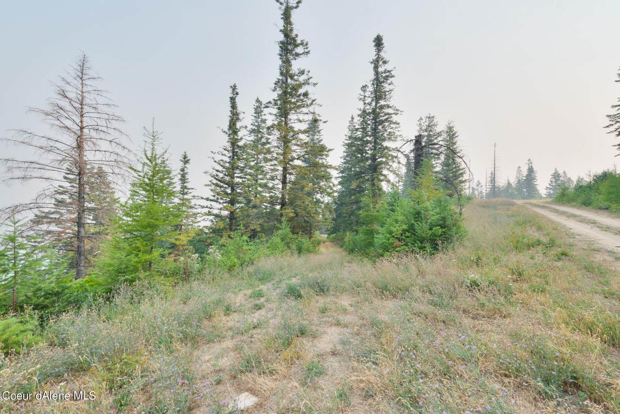 NKA Mellick Rd. - Photo 1