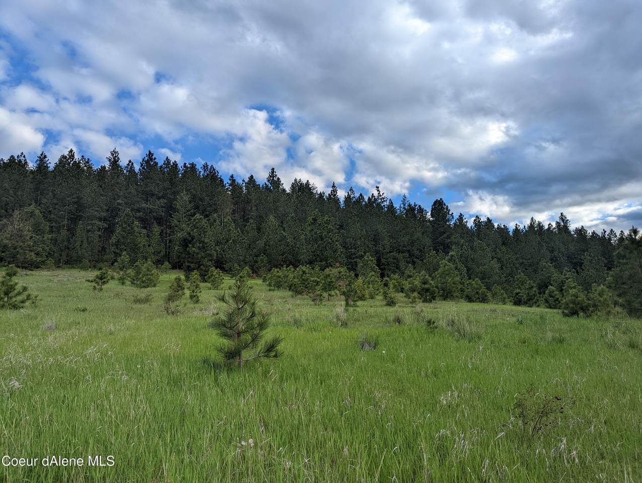2614 Desmet Rd - Photo 1
