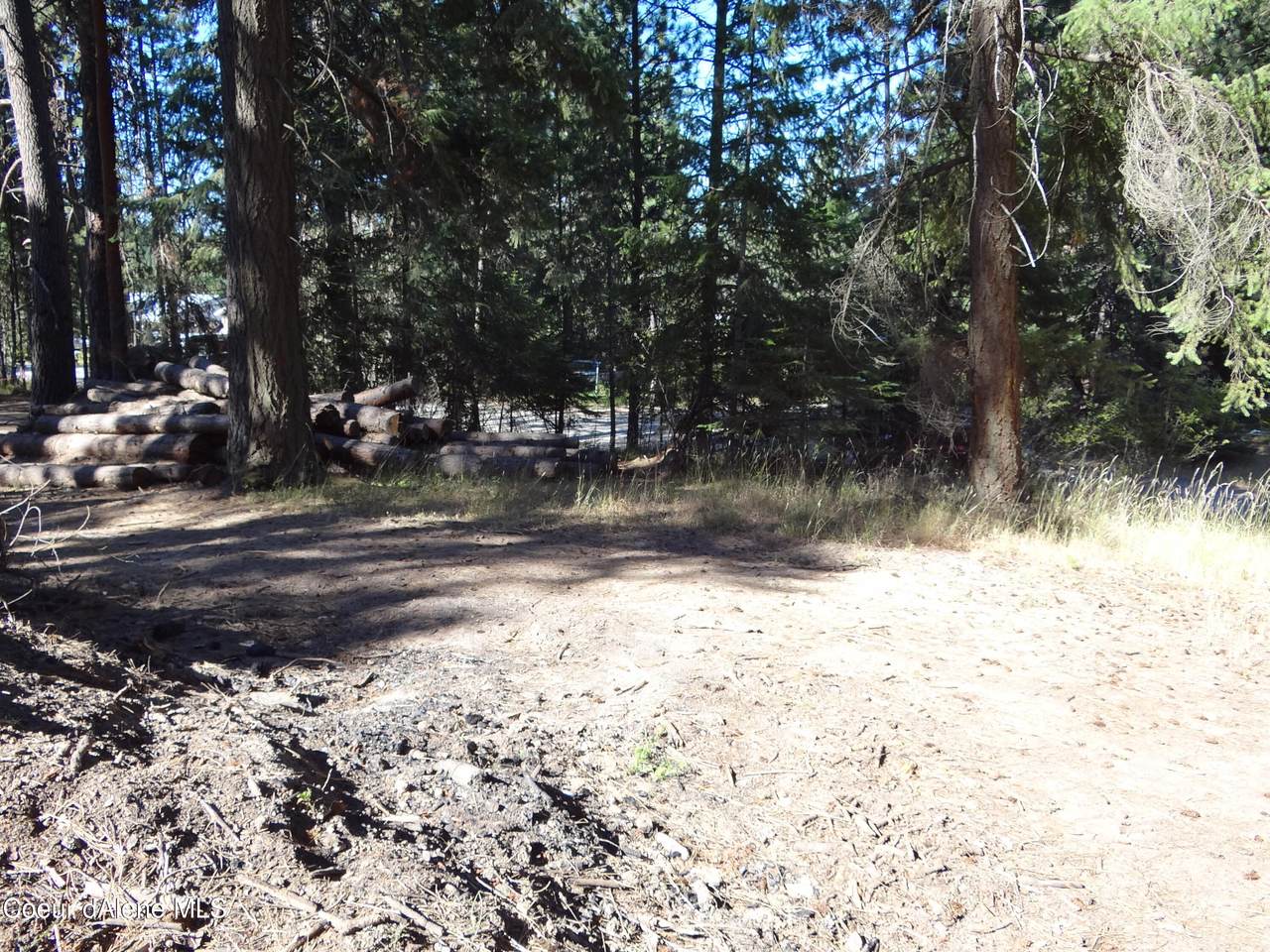NKA Goldrush Rd Lots 12-14 - Photo 1