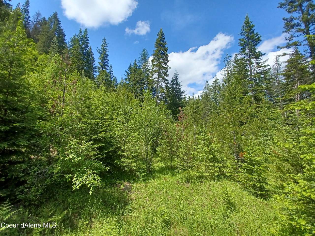 NNA Coyote Trail - Photo 1