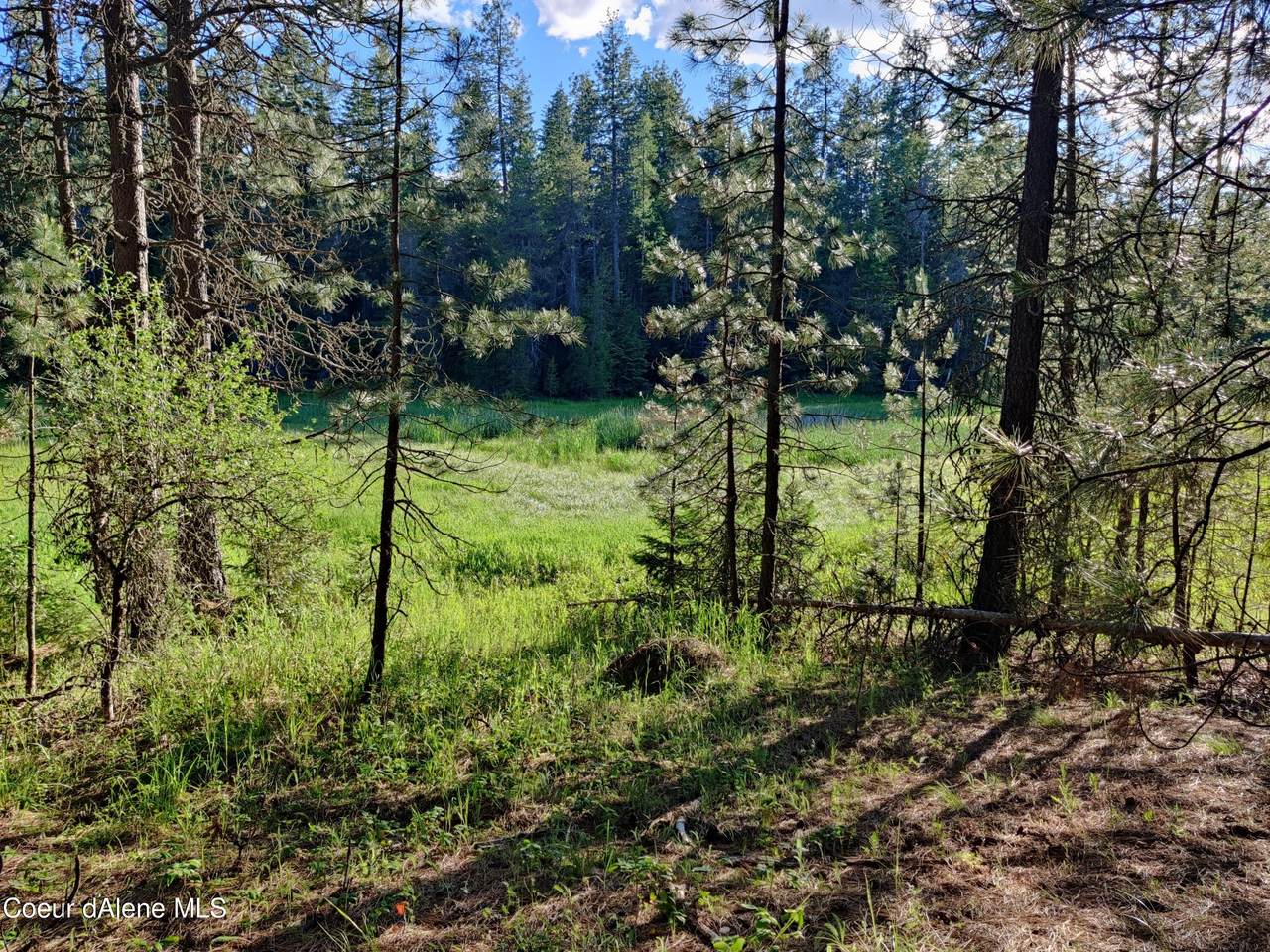 L19 B1 Gypsy Bay Rd - Photo 1