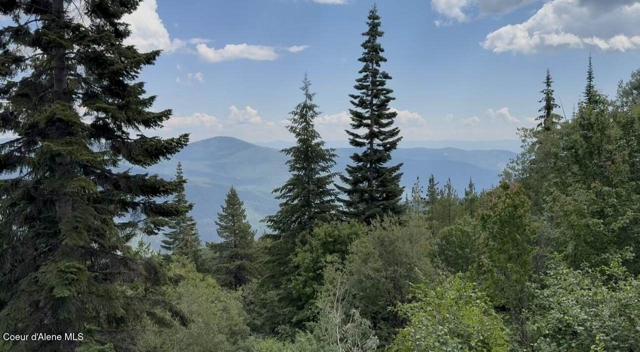 NKA 160 Acres Jeru Creek Rd 293 - Photo 1