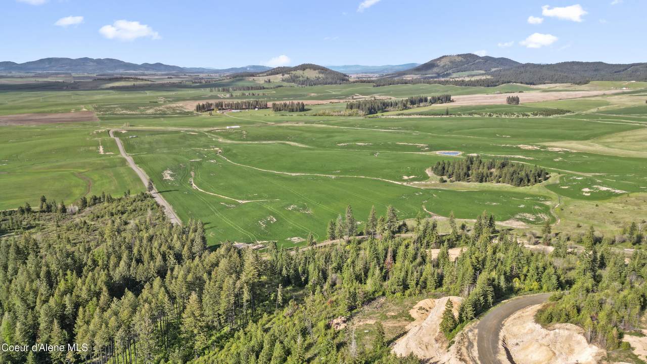 Lot 1 Lone Moose Dr - Photo 1