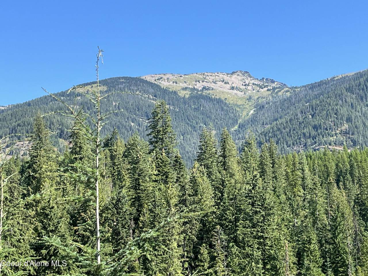 https://bt-photos.global.ssl.fastly.net/coeurdalene/1280_boomver_2_25-1335-2.jpg