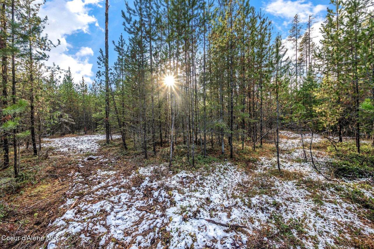 Lot 3 Reeder Bay Road - Photo 1