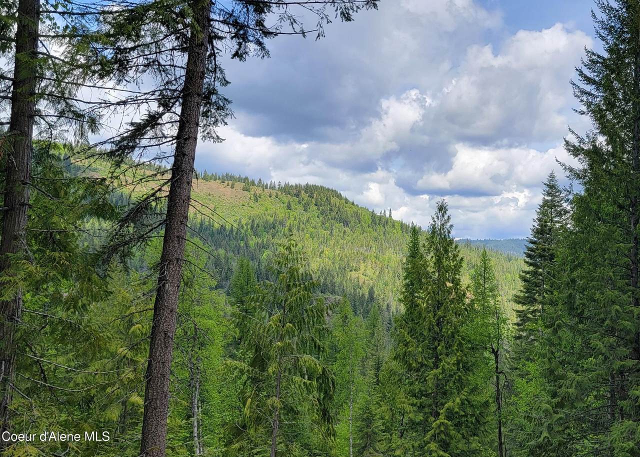 NNA Pup Paw Trail - Photo 1