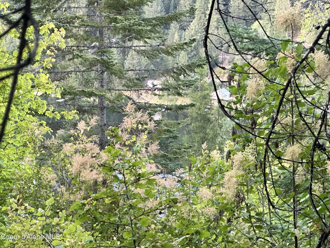 .29 Acres Hinds Dr - Photo 1