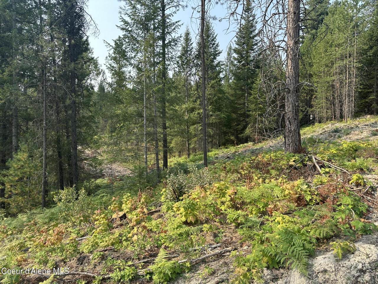 NNA Peninsula Loop Rd. - Photo 1