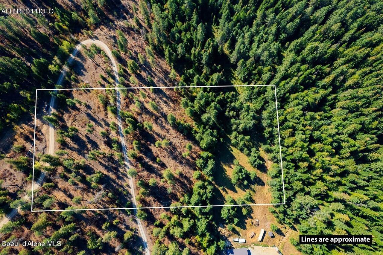 Lot 1A Moose Mtn - Photo 1