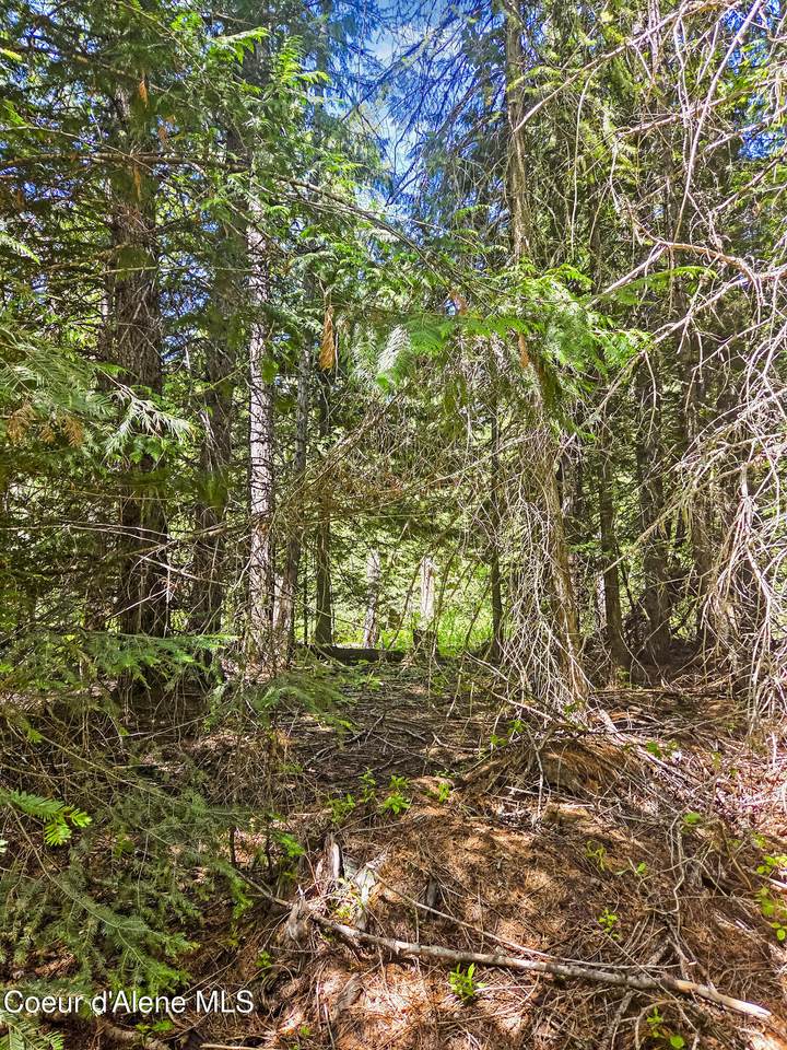 NNA Tanglewood Dr - Photo 1