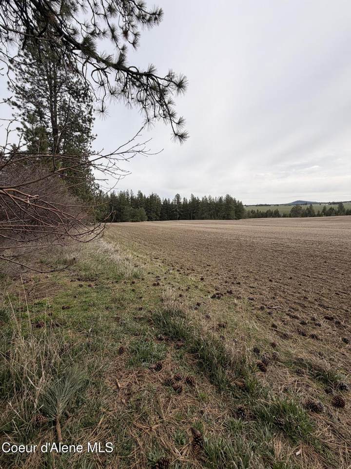 TBD Sandhill Rd. - Photo 1