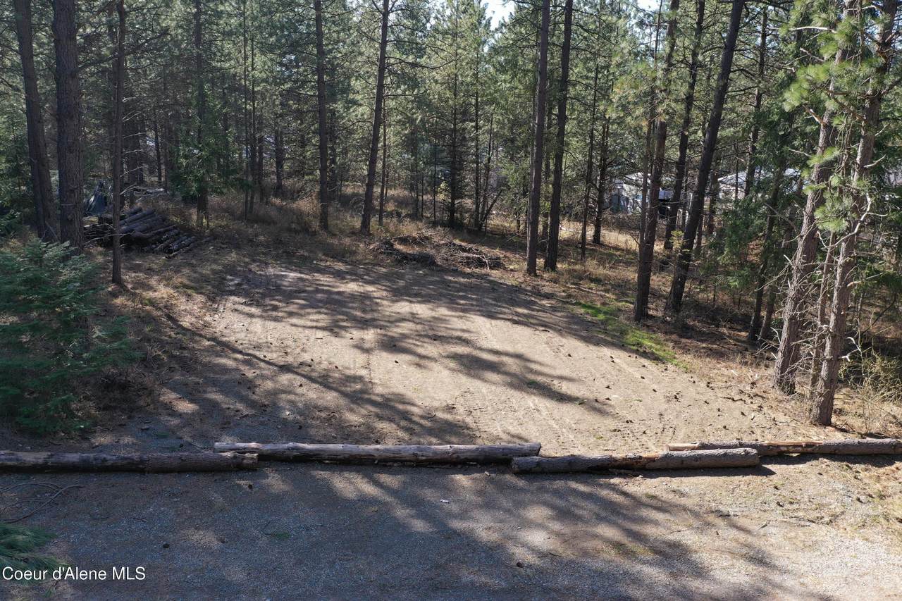 1733 Last Chance Rd - Photo 1