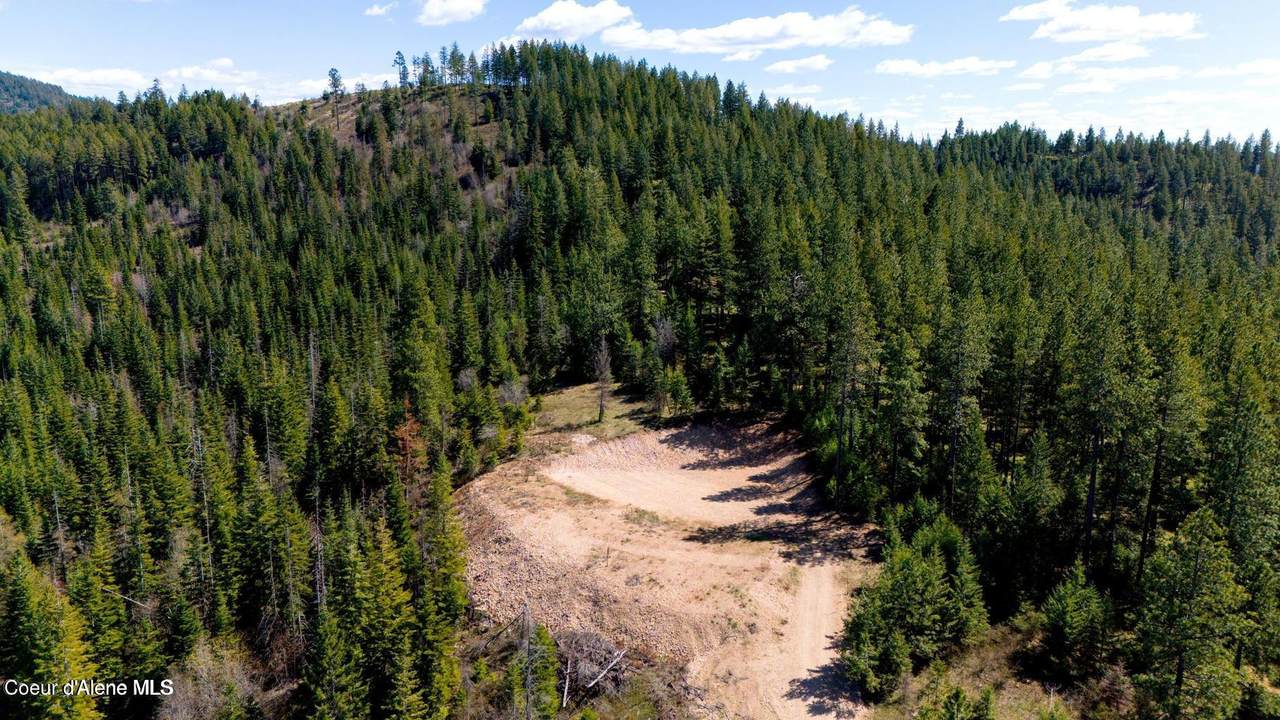  Lot 10 Moose Dr - Photo 1