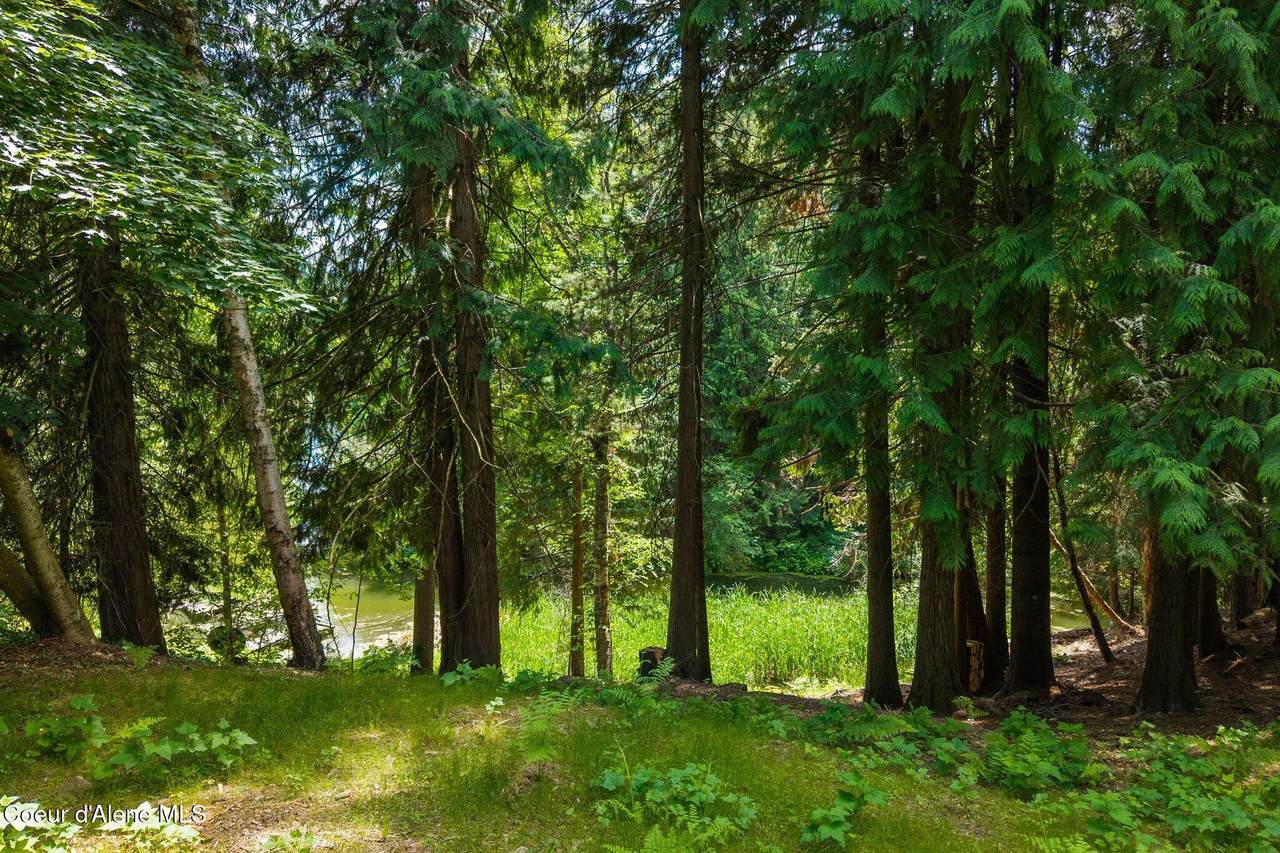 Lot 4 Hidden Harbor Lane - Photo 1