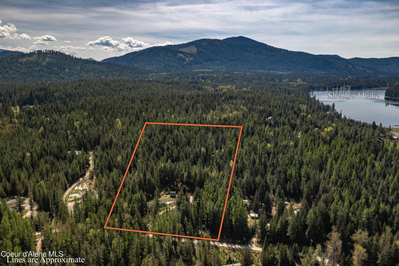 202 Fry Creek Rd - Photo 1