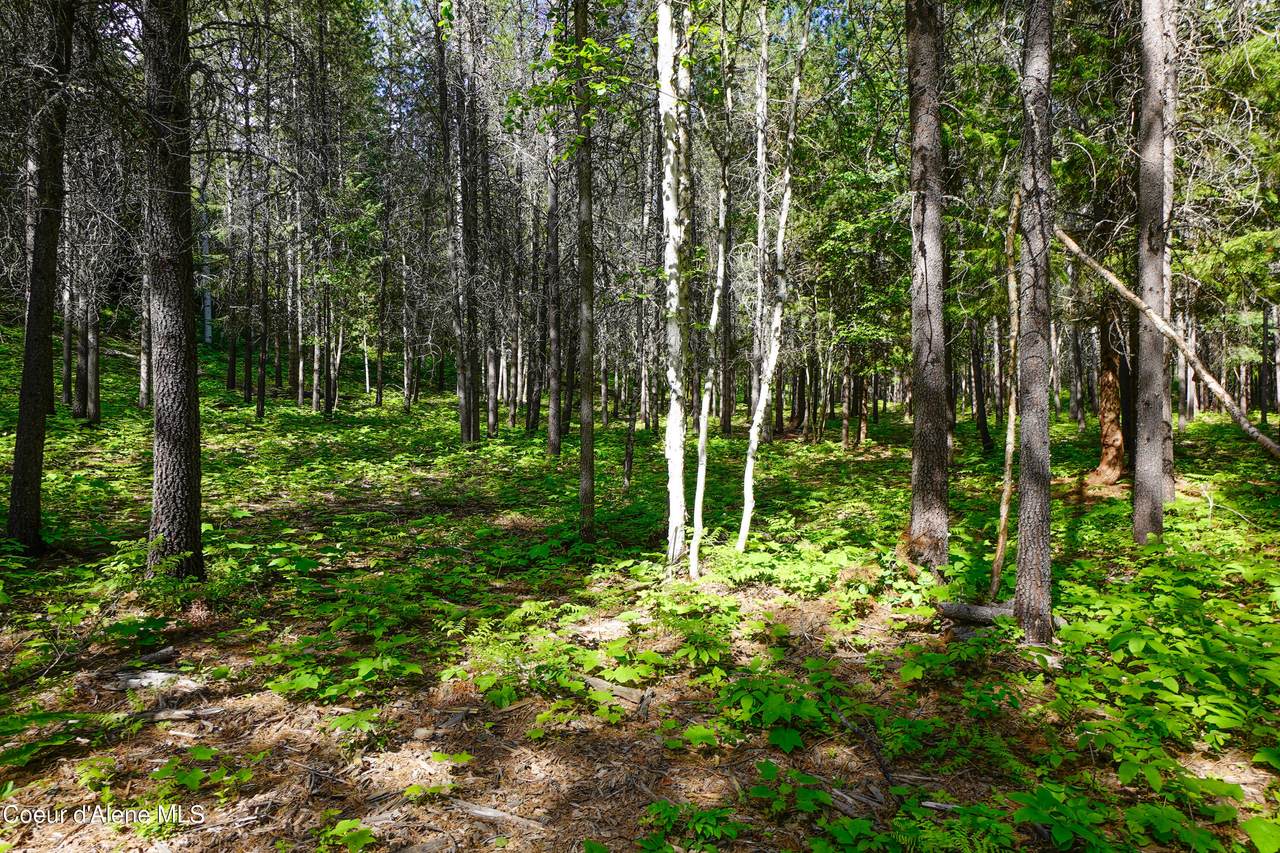 https://bt-photos.global.ssl.fastly.net/coeurdalene/1280_boomver_2_26-480-2.jpg