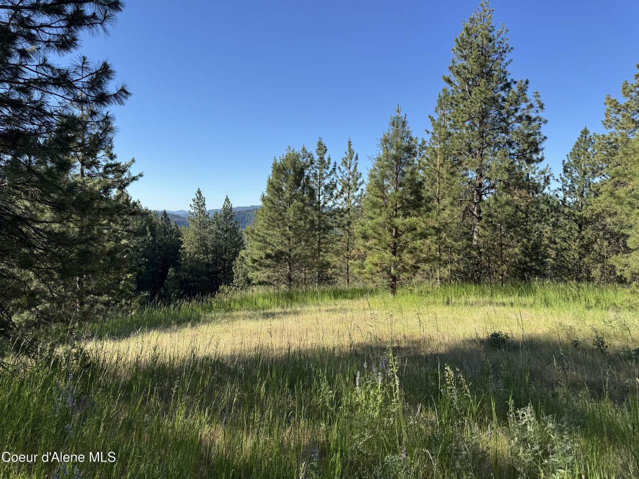 NKA(Lot 2) Reynolds Rd - Photo 1