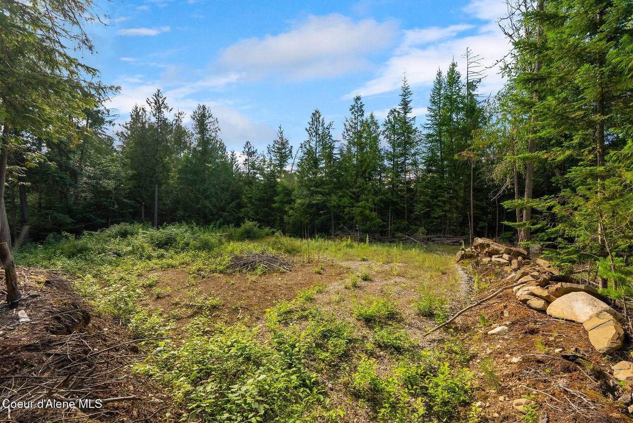 9782 Bottle Bay Rd - Photo 1