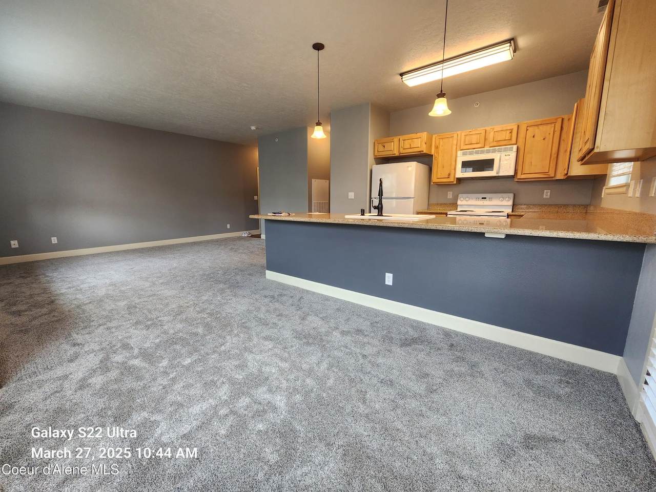 6850 Spurwing Loop - Photo 1