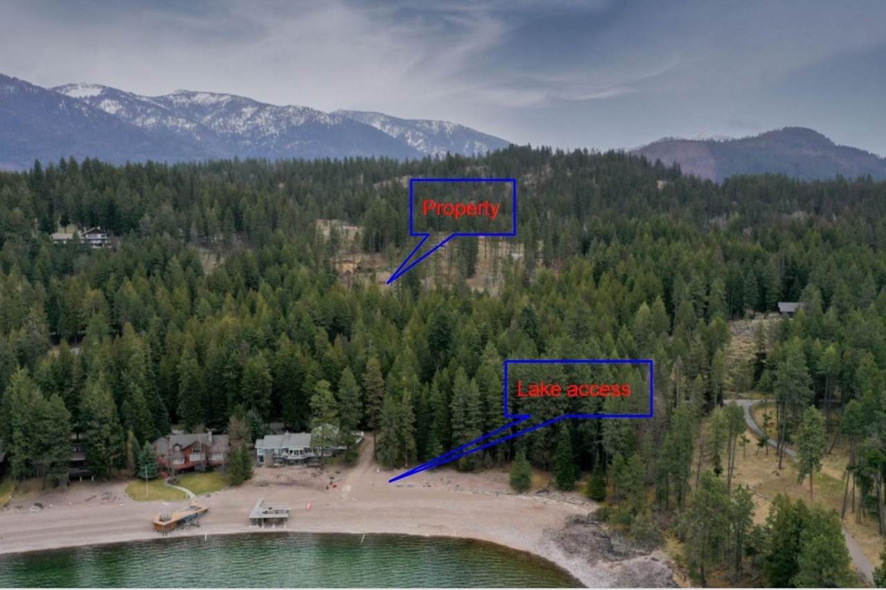 NNA Osprey Circle - Photo 1