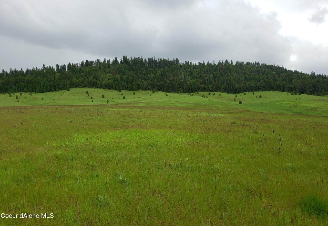 TBD Merideth Rd - Photo 1