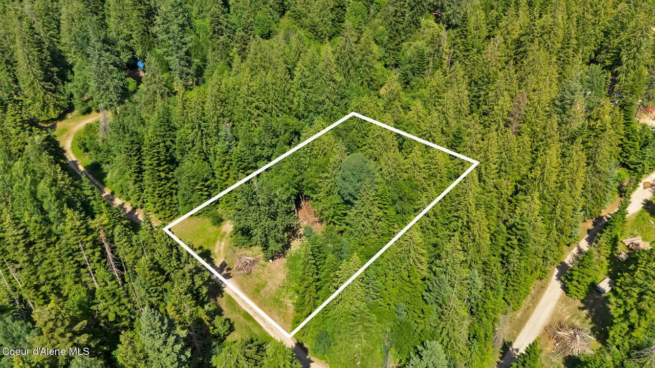 Lots 1,2 & 3 Kokanee Ave - Photo 1