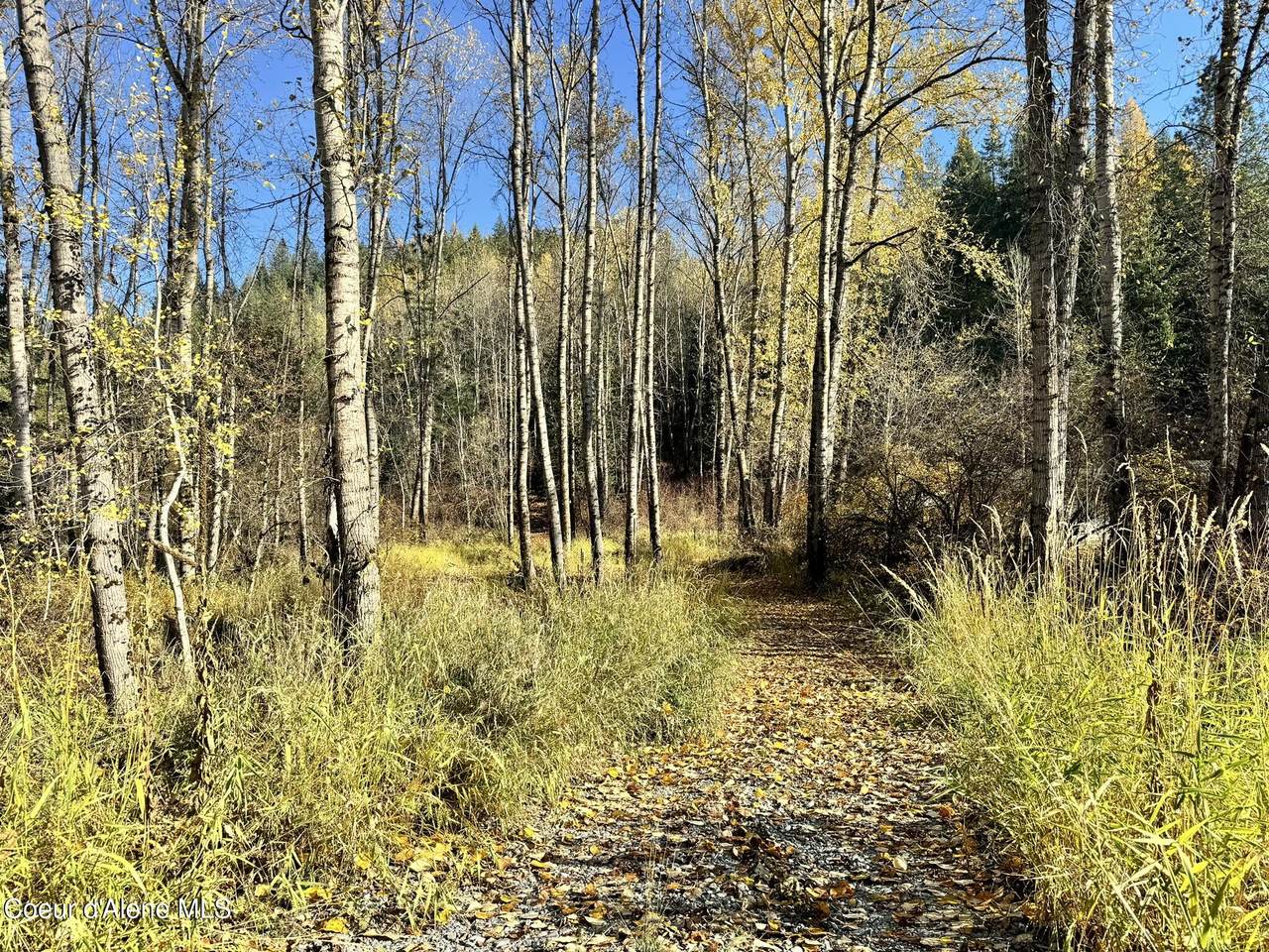 30.91acs French Gulch Rd - Photo 1
