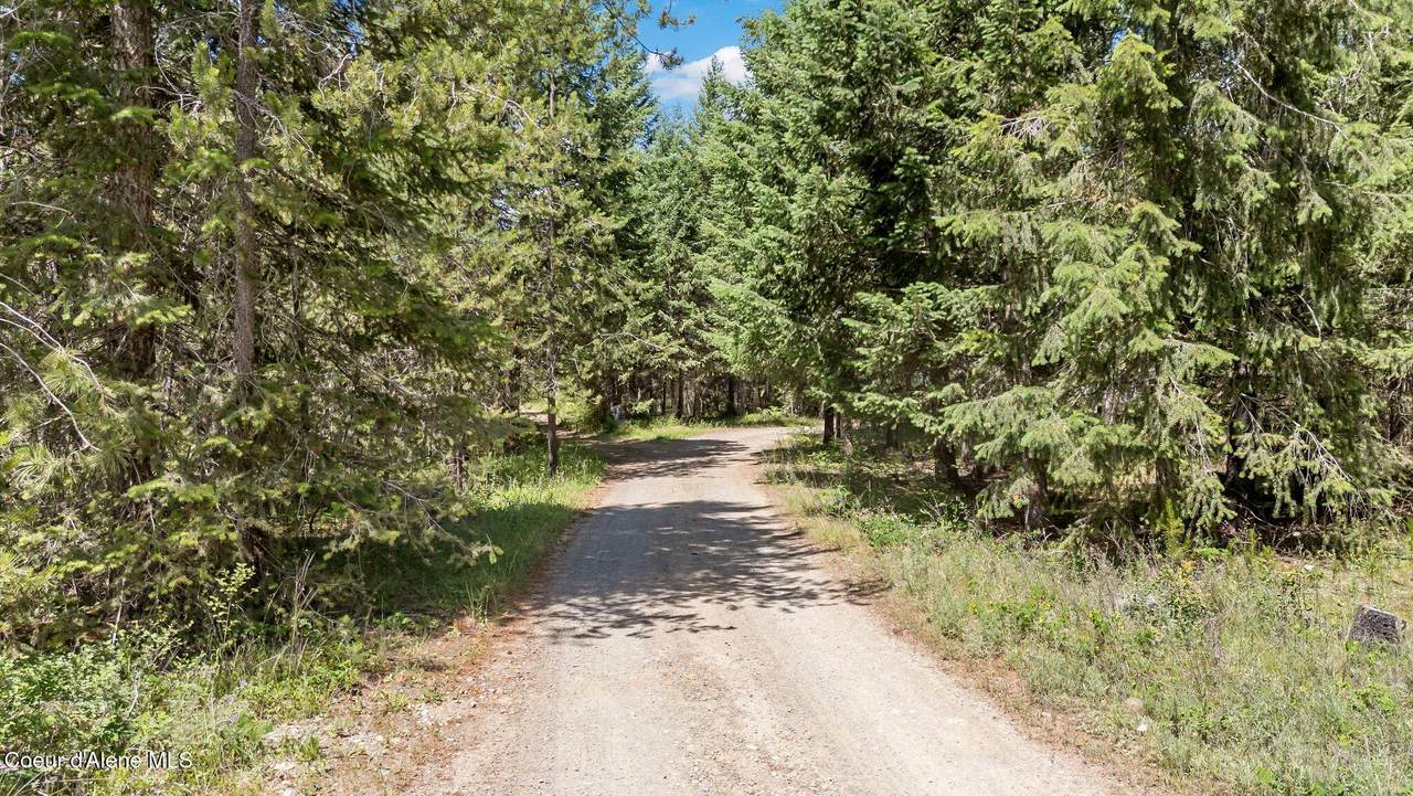 TBD Homestead Rd - Photo 1