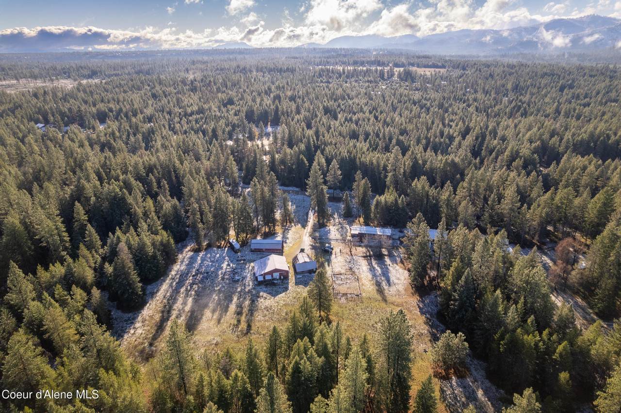 325 Al's Welding Rd. - Photo 1