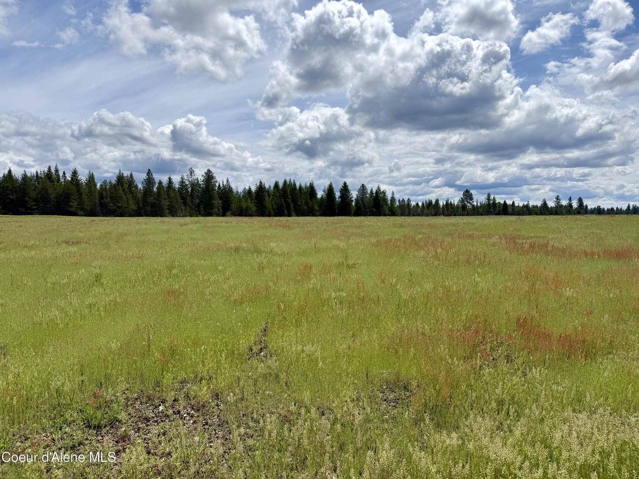 NKA Stonemason Way (Lot 2 Block 2) - Photo 1