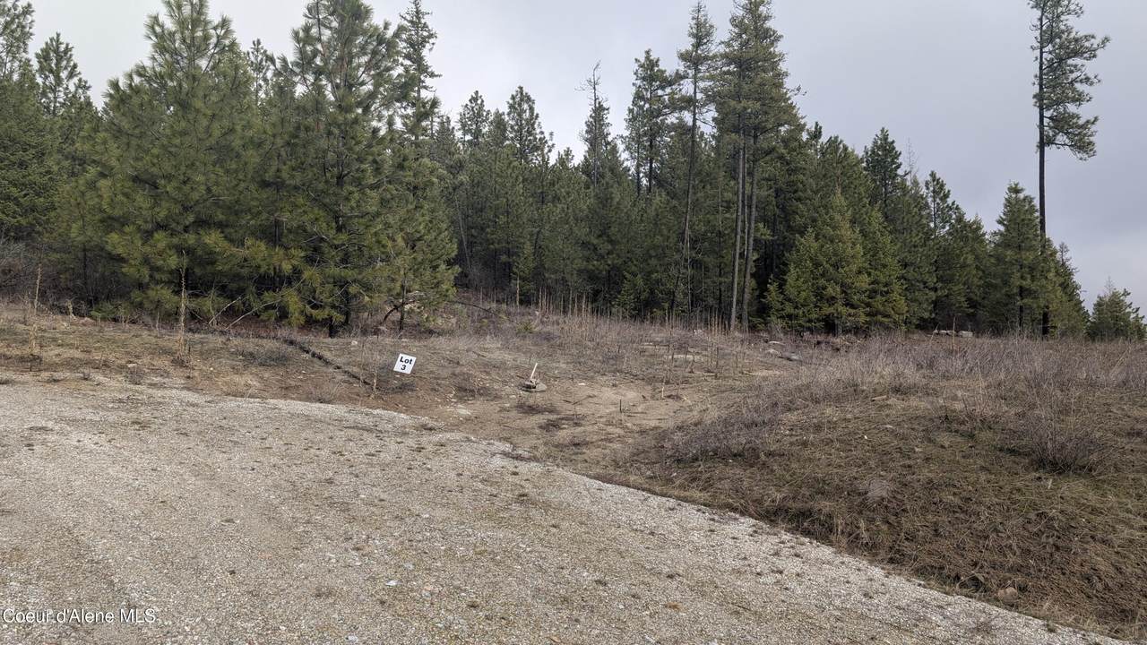 L3 Contour Lane - Photo 1