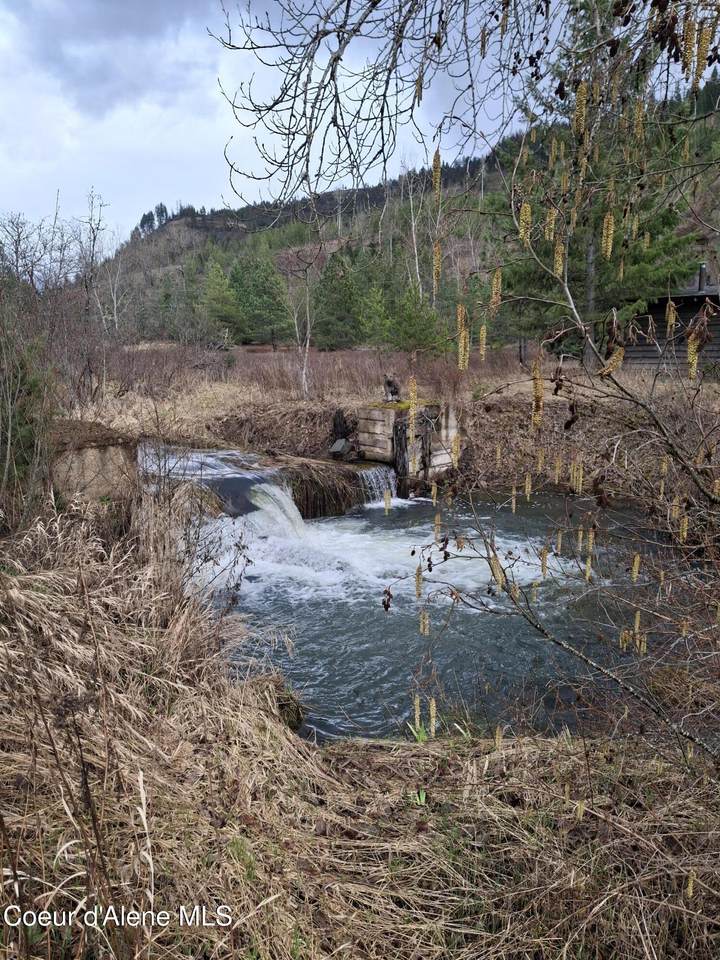 1010 Bear Creek Road - Photo 1