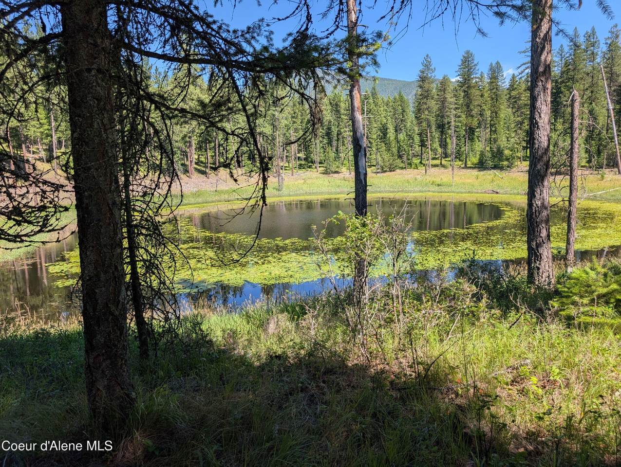 53396 Highway 95 - Photo 1