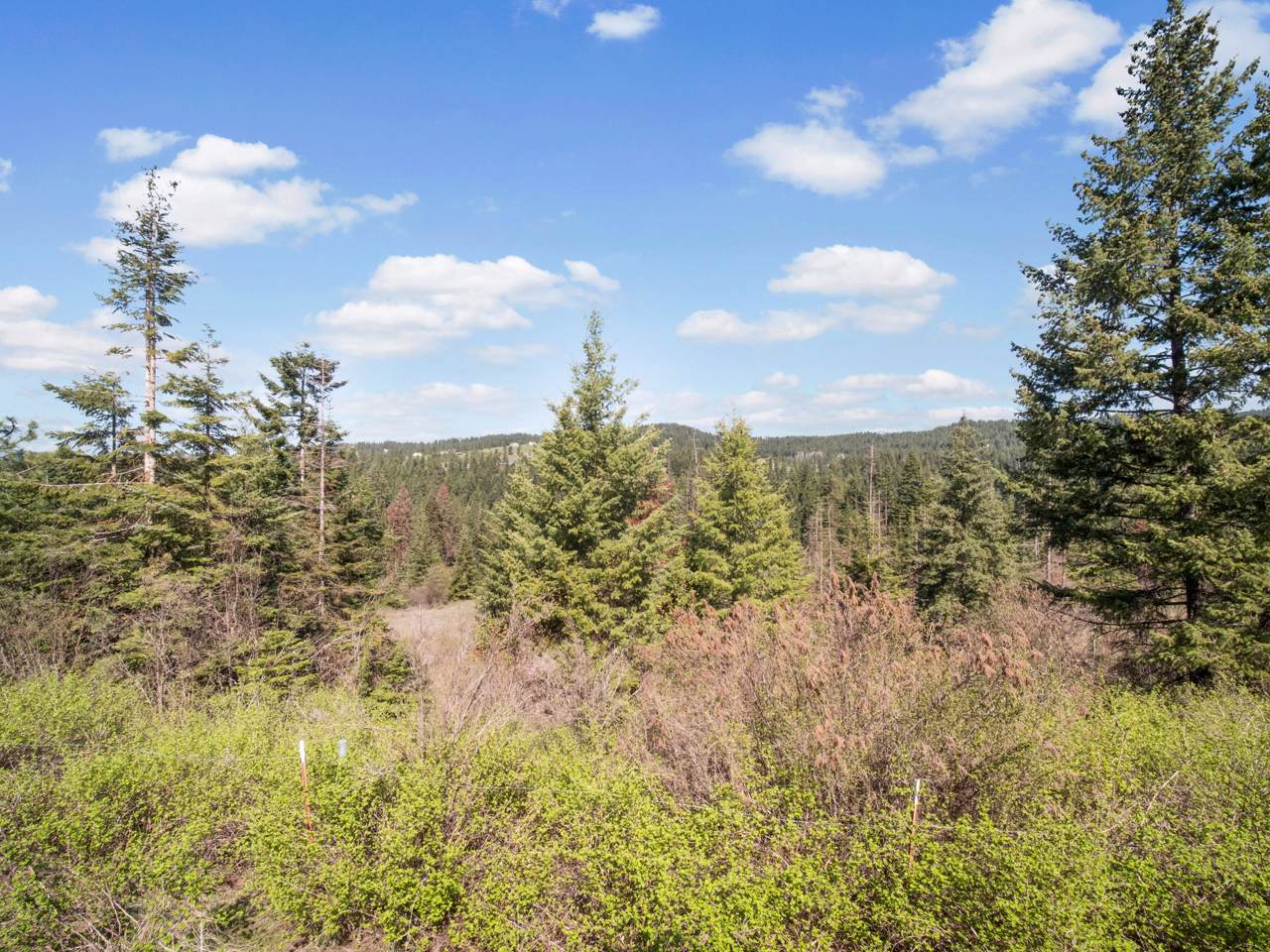 7307 Borley Rd - Photo 1