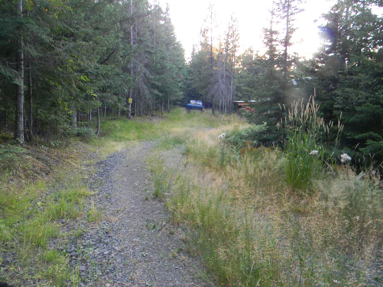 231 Buckskin Ln - Photo 1