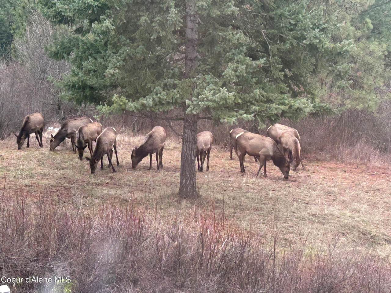 21160 Corbin Hill Rd. - Photo 1