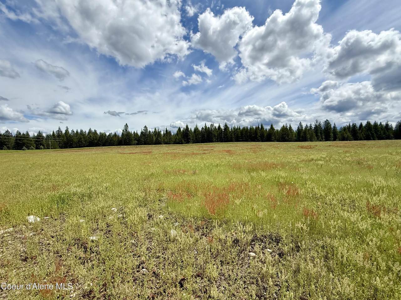 NKA Stonemason Way (Lot 1 Block 2) - Photo 1